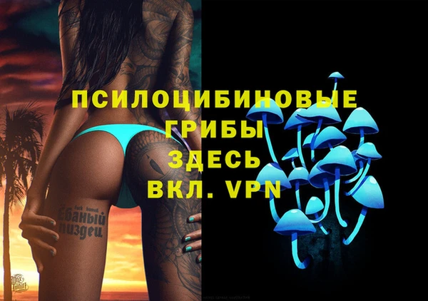 амф Пересвет