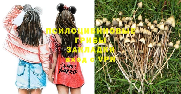 марки lsd Переславль-Залесский