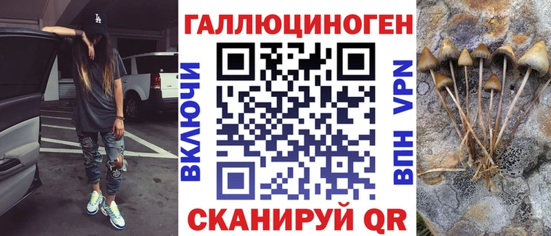Псилоцибиновые грибы мицелий Симферополь