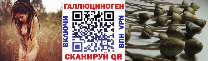 Галлюциногенные грибы прущие грибы  гидра ссылка  Симферополь 